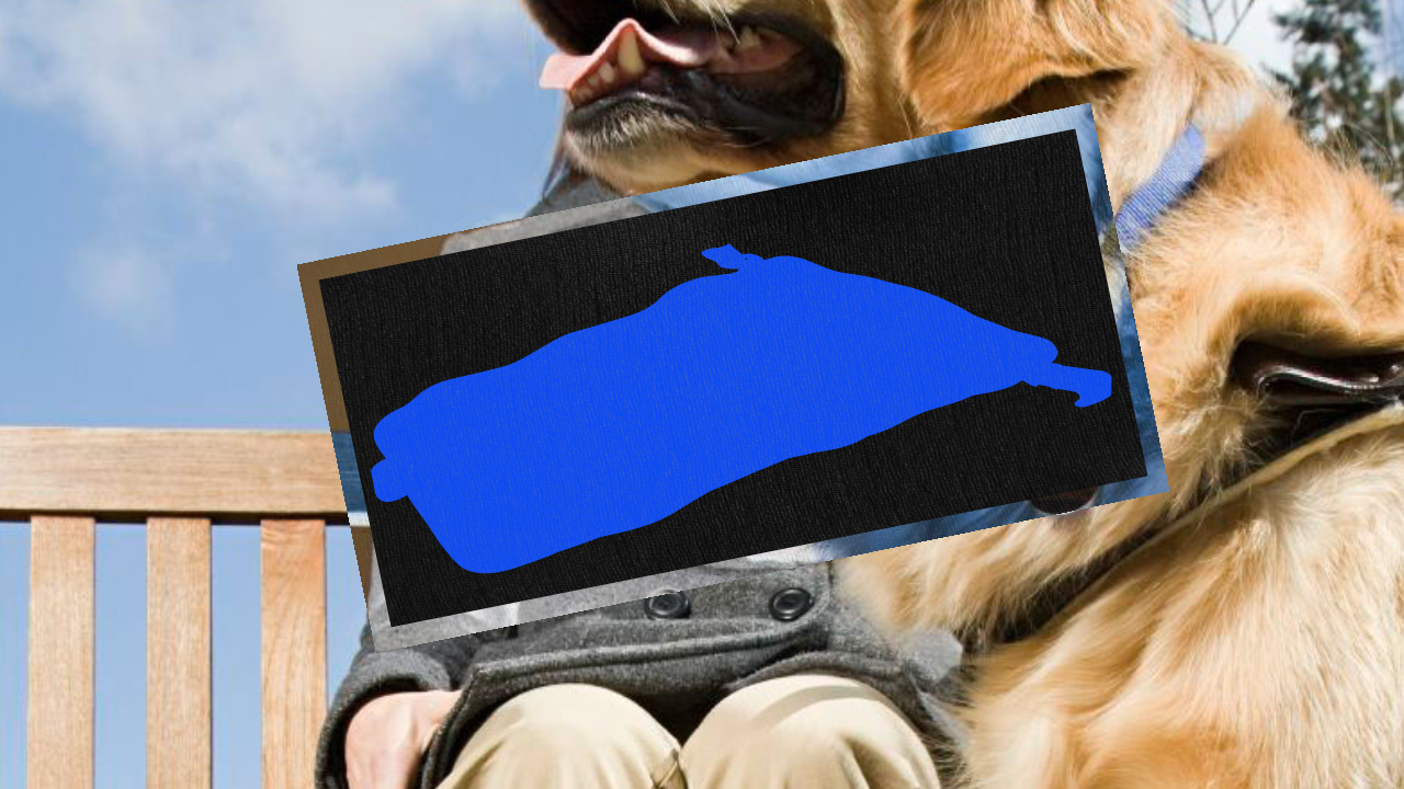 Onepace - Image principale