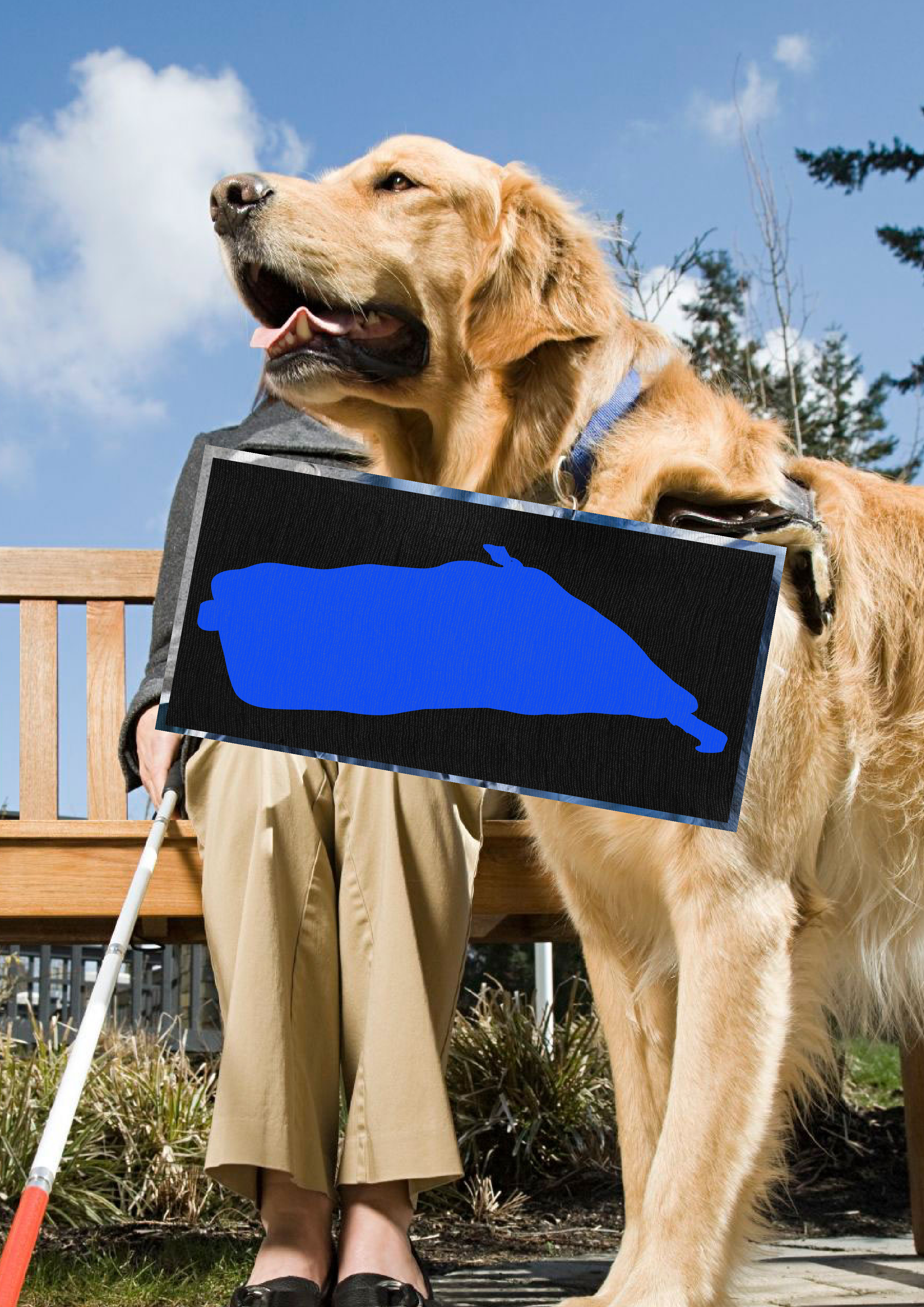 Onepace - Image principale